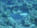 DSC00136.JPG