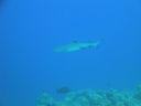 DSC00139.JPG
