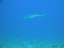 DSC00140.JPG