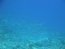 DSC00145.JPG