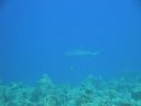 DSC00147.JPG