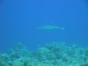 DSC00148.JPG