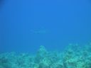 DSC00151.JPG