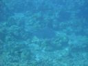 DSC00152.JPG
