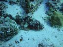 DSC00155.JPG