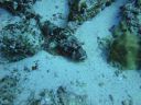 DSC00156.JPG