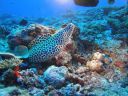 DSC00172.JPG