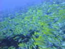DSC00176.JPG
