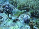 DSC00179.JPG