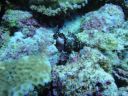 DSC00180.JPG