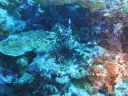 DSC00186.JPG