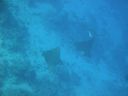DSC00203.JPG