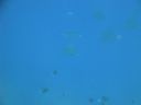 DSC00208.JPG