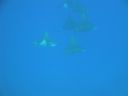DSC00211.JPG