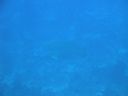 DSC00217.JPG