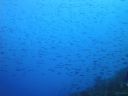 DSC00218.JPG