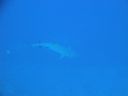 DSC00219.JPG