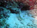 DSC00221.JPG