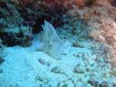 DSC00222.JPG