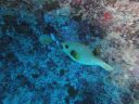 DSC00257.JPG