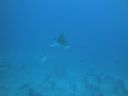 DSC00282.JPG