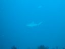 DSC00290.JPG