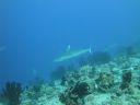 DSC00291.JPG