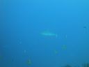 DSC00292.JPG