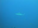DSC00293.JPG