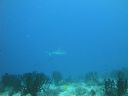 DSC00295.JPG