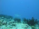 DSC00296.JPG