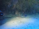 DSC00306.JPG