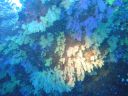 DSC00309.JPG