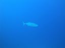 DSC00313.JPG