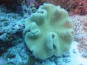 DSC00315.JPG