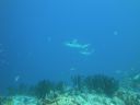 DSC00326.JPG