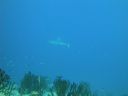 DSC00332.JPG