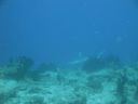 DSC00337.JPG