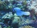 DSC00341.JPG
