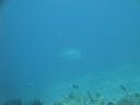 DSC00343.JPG