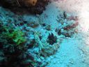 DSC00346.JPG