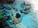 DSC00347.JPG
