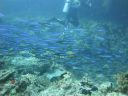 DSC00351.JPG