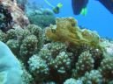 DSC00352.JPG