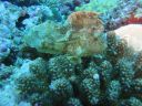 DSC00355.JPG