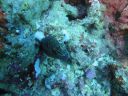 DSC00358.JPG