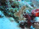 DSC00363.JPG