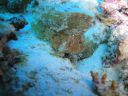 DSC00365.JPG