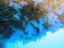 DSC00369.JPG