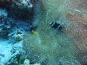 DSC00376.JPG